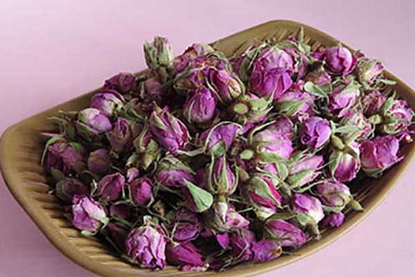 تصویر 2 از غنچه خوش عطر گل محمدی